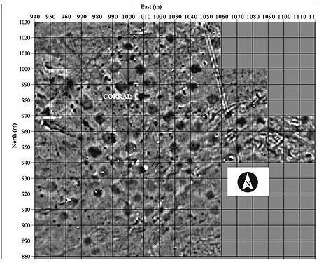 magnetic image