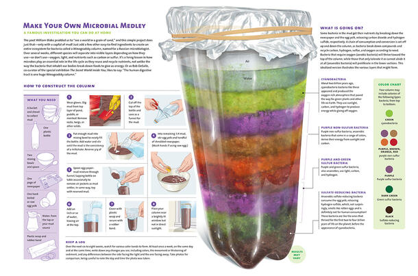 Illustrated step-by-step instructions titled "Make Your Own Microbial Medley." 