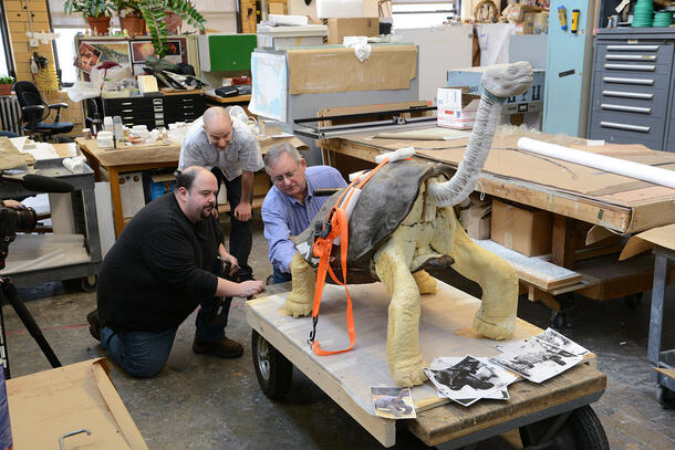 Three people crouch behind a large taxidermy tortoise on a wheeled cart. The tortoise has straps around its middle and wrapping around its neck.