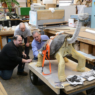 Three people crouch behind a large taxidermy tortoise on a wheeled cart. The tortoise has straps around its middle and wrapping around its neck.