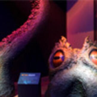 A partial view of a model of a fantastic creature with large eyes. One huge tentacle is visible in this photo.