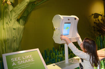 Child moves a viewer mounted on a display and directs it towards a model of a tree with a snake in its branches.