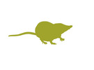 A silhouette of a shrew, notable for its long snout, against a white background.
