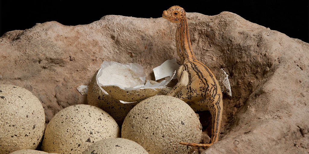 Dinosaur Babies Sauropods the World's Biggest Dinosaurs AMNH