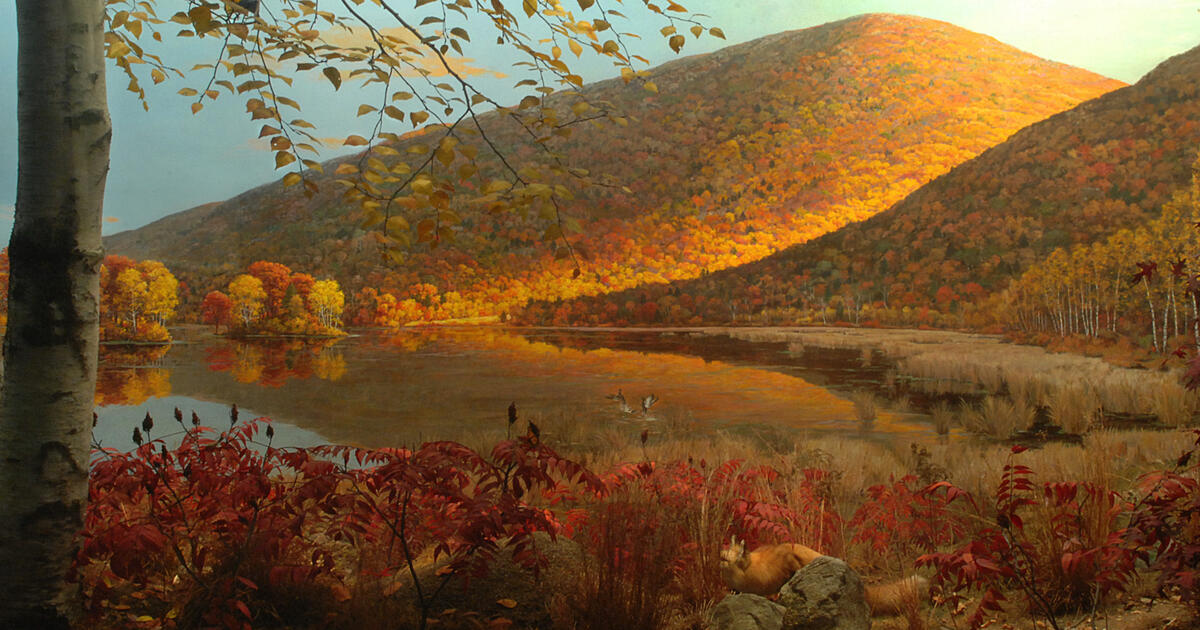 New York State Environment Glaciation To Modern Day Amnh