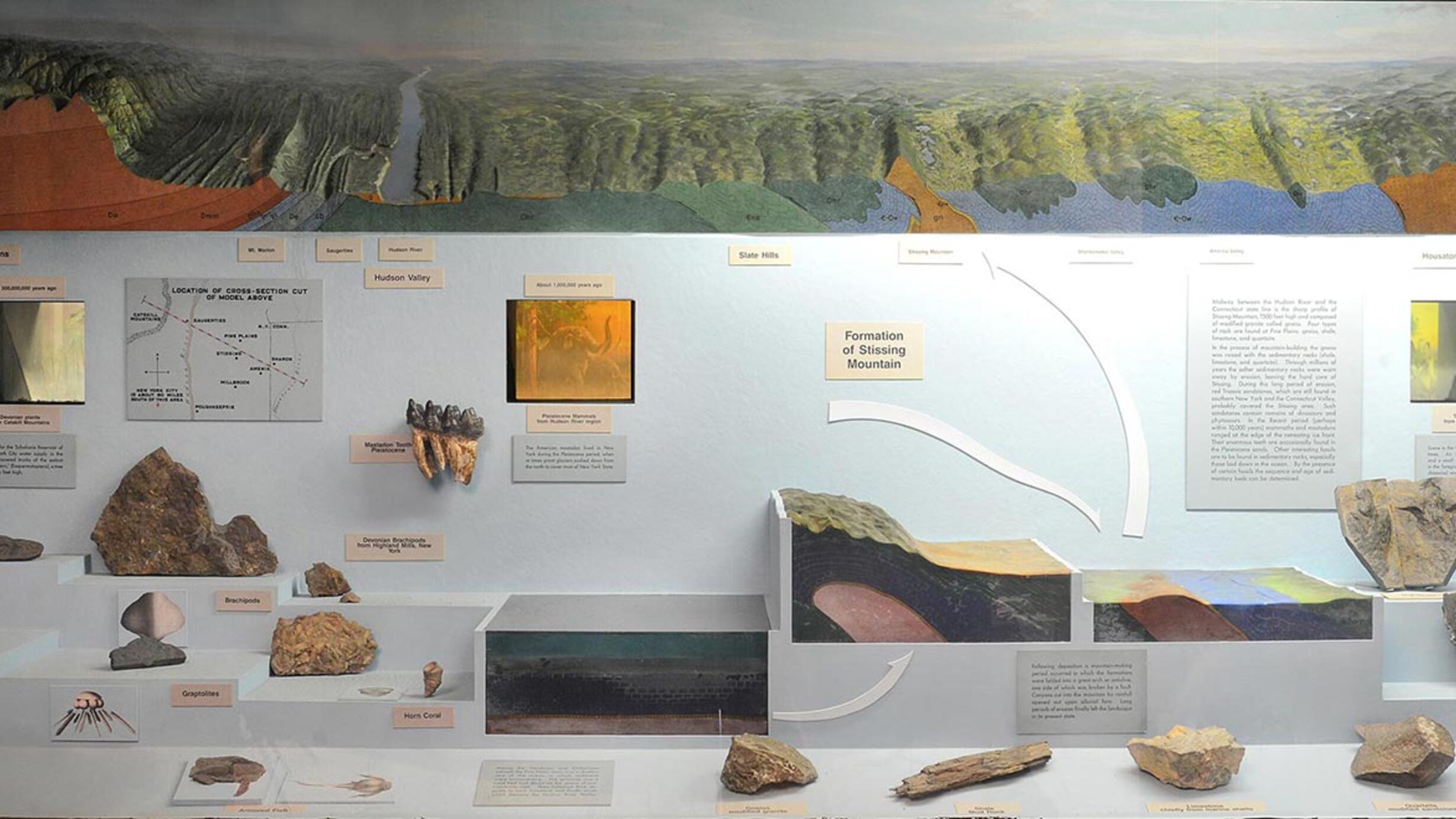 Museum case showing models and artifacts illustrating the geological history of Stissing Mountain
