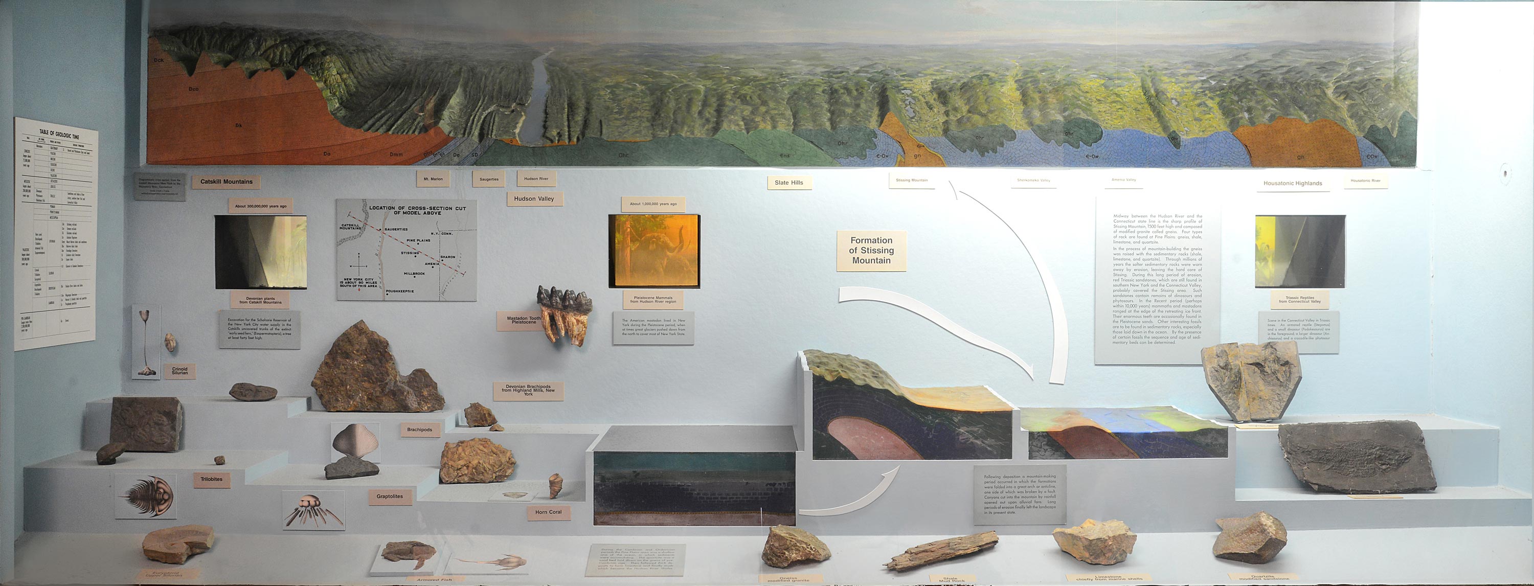Museum case showing fossils illustrations and models explaining the geological structure of Stissing Mountain