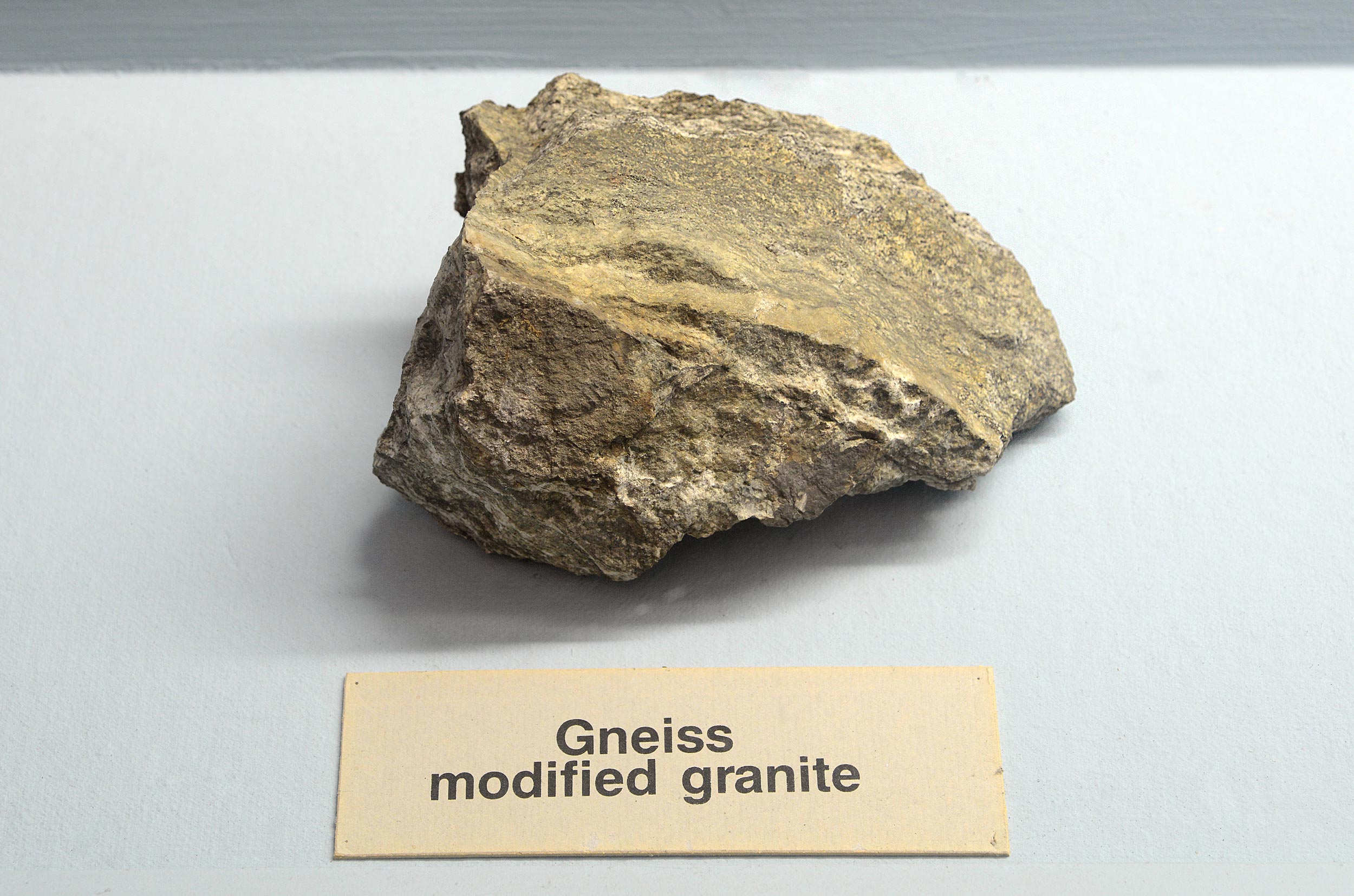Gneiss modified granite in museum case