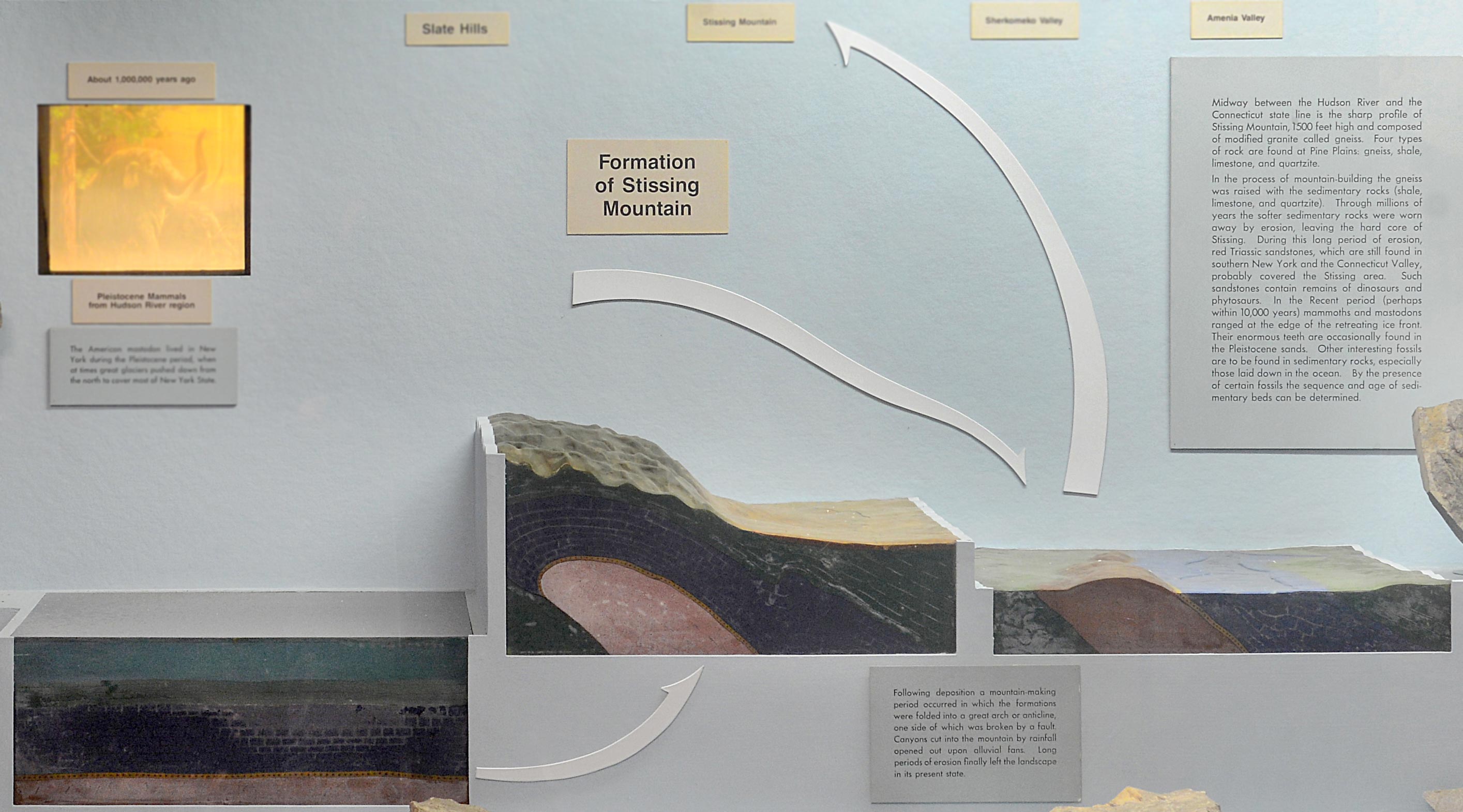 Museum display of Geological History and Structure with various labeled wood and rock specimens and models explaining mountain formation.