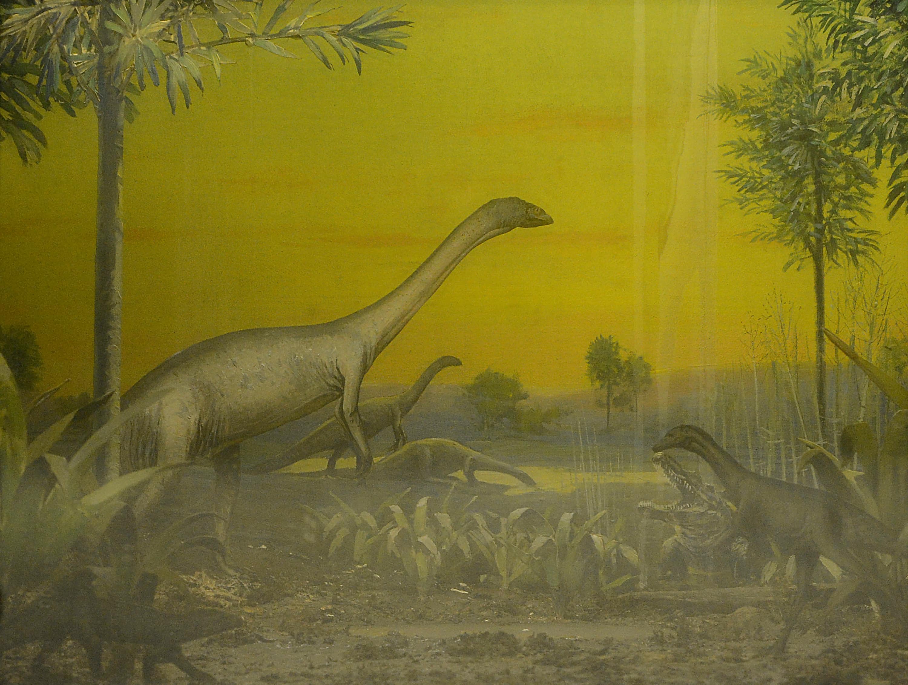 Triassic reptiles on display in the Hall of New York State Enivronment