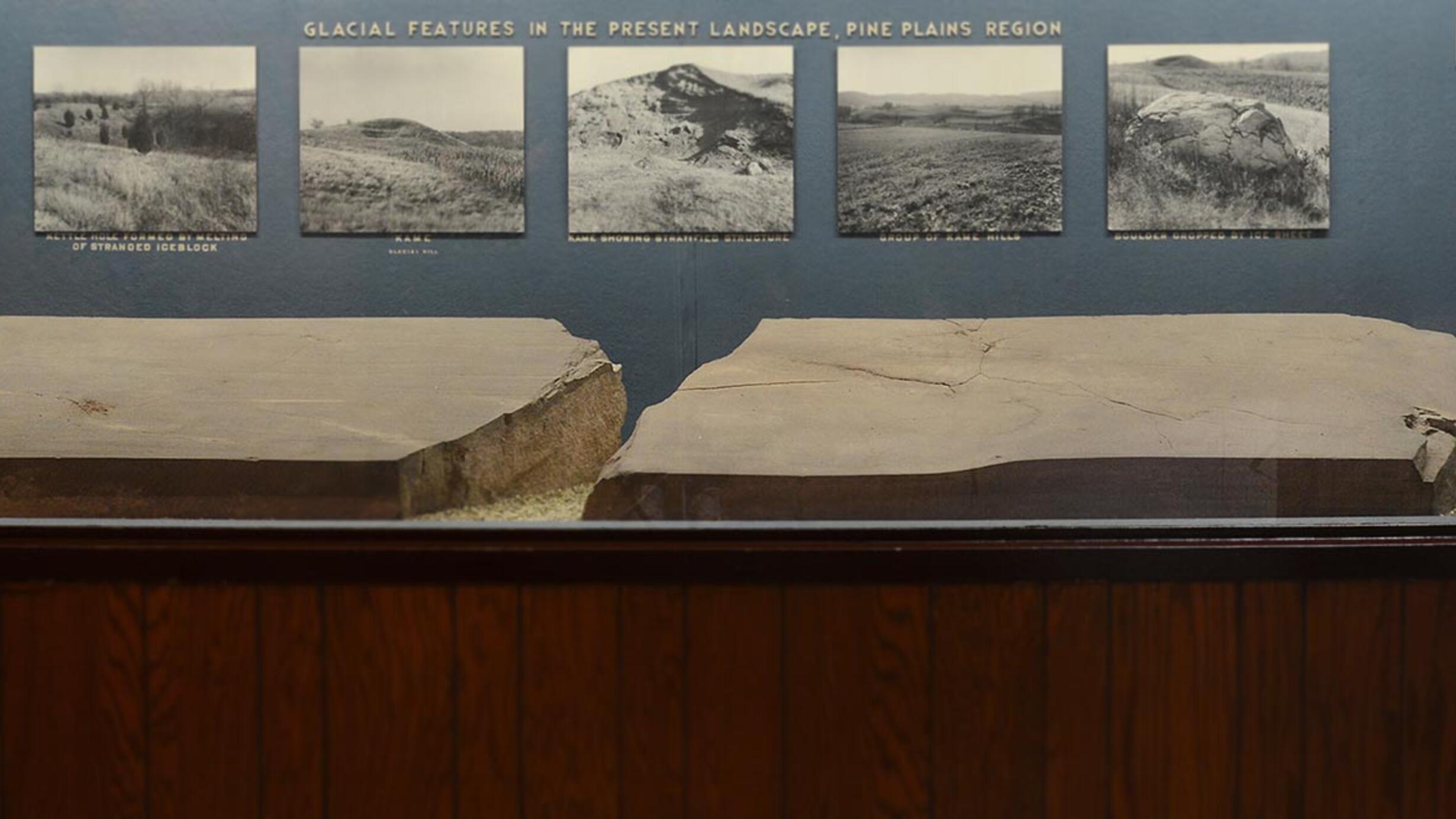 Bottom of museum case showing four pieces of red sandstone slabs.