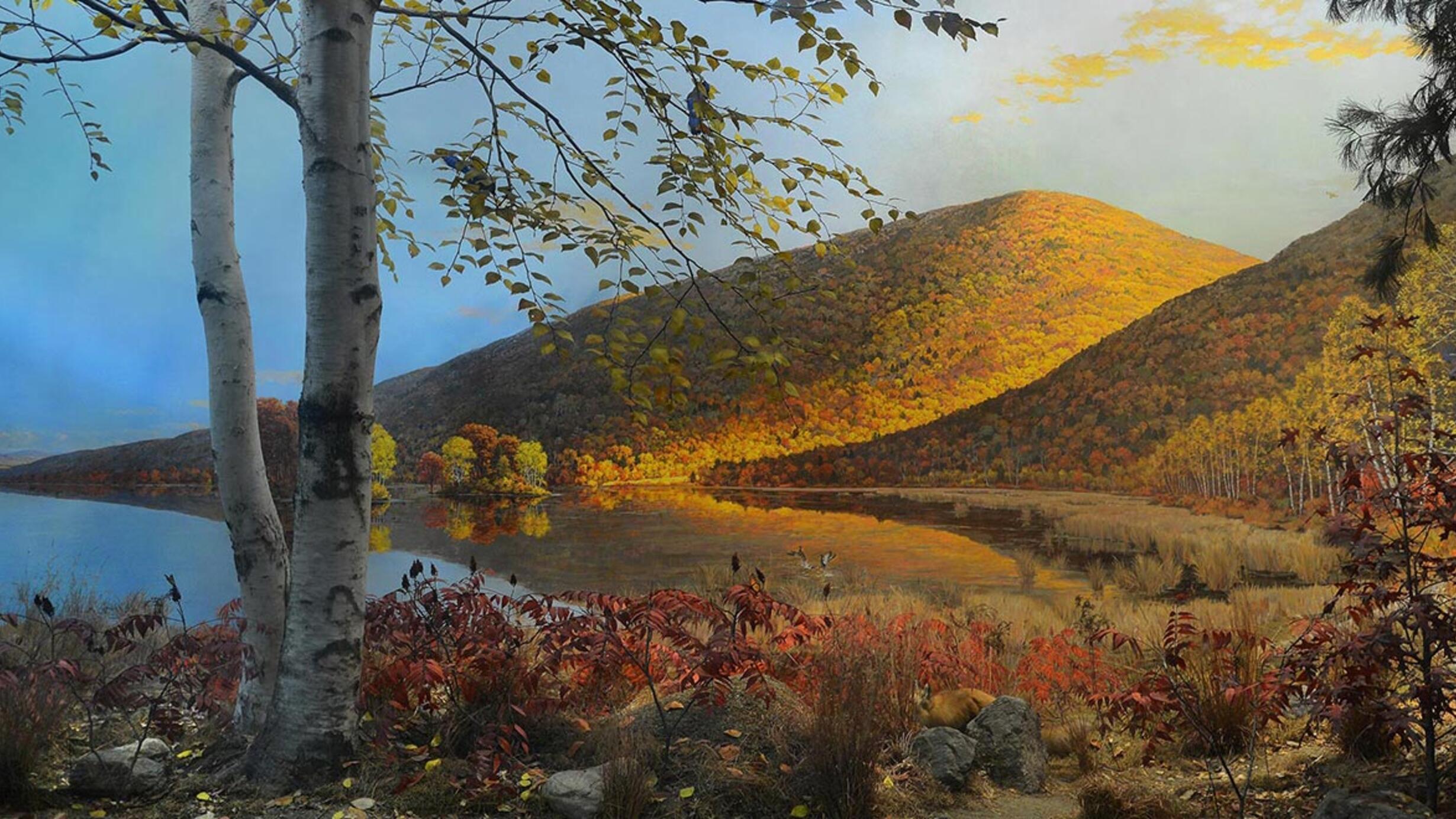 Diorama of Stissing Mountain in the fall, including trees, bushes and a lake.