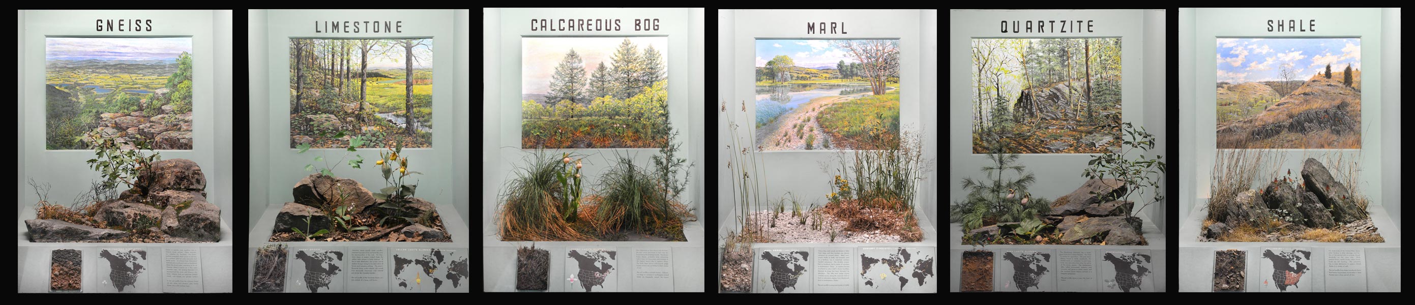 Museum cases showing landscapes, models of the ground and soil profiles for: gneiss, limestone, calcareous bog, marl, quartzite, shale