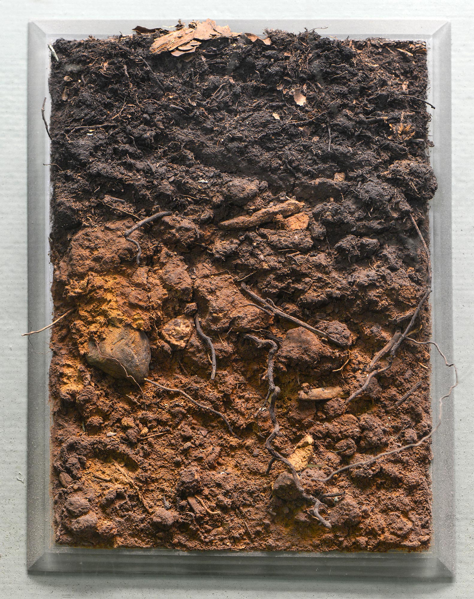 Gneiss soil profile