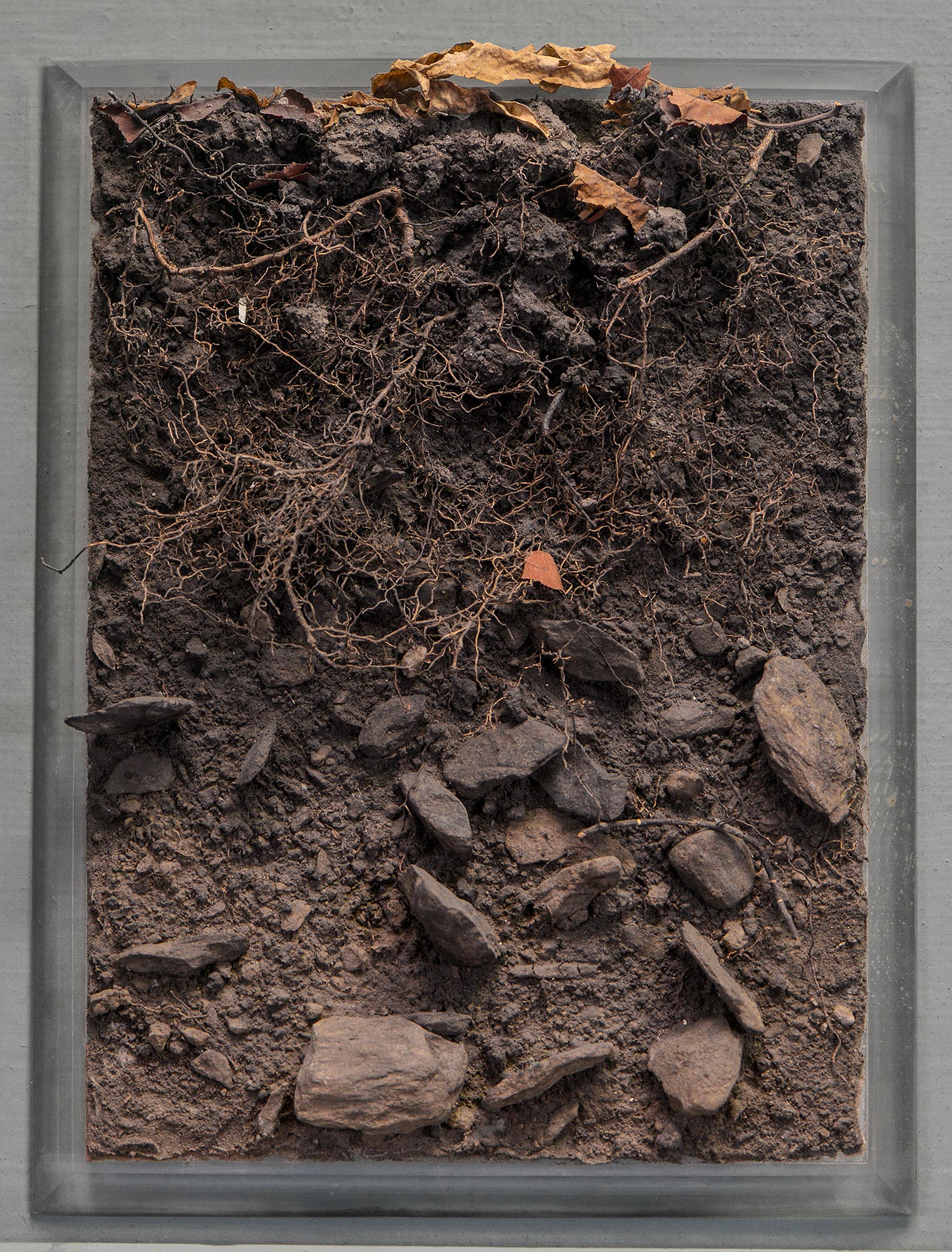 Shale soil profile