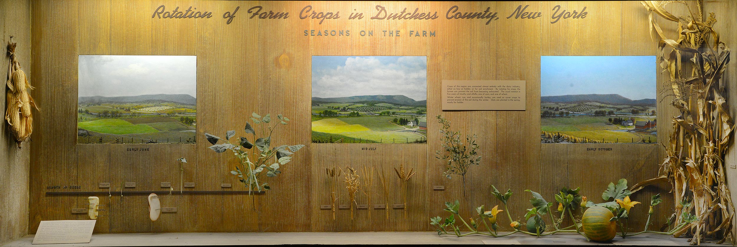 Museum window showing dioramas and models illustrating the rotation of farm crops in Dutchess County.