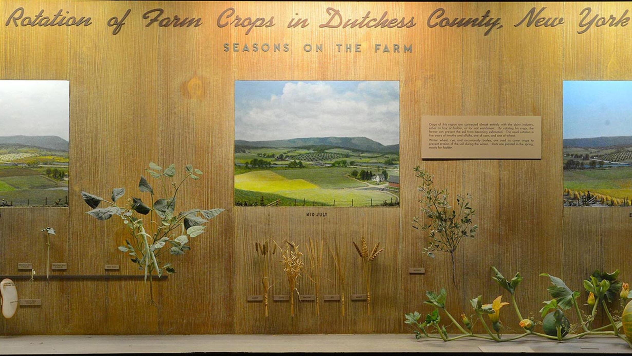 Museum window showing dioramas and models illustrating the rotation of farm crops in Dutchess County.