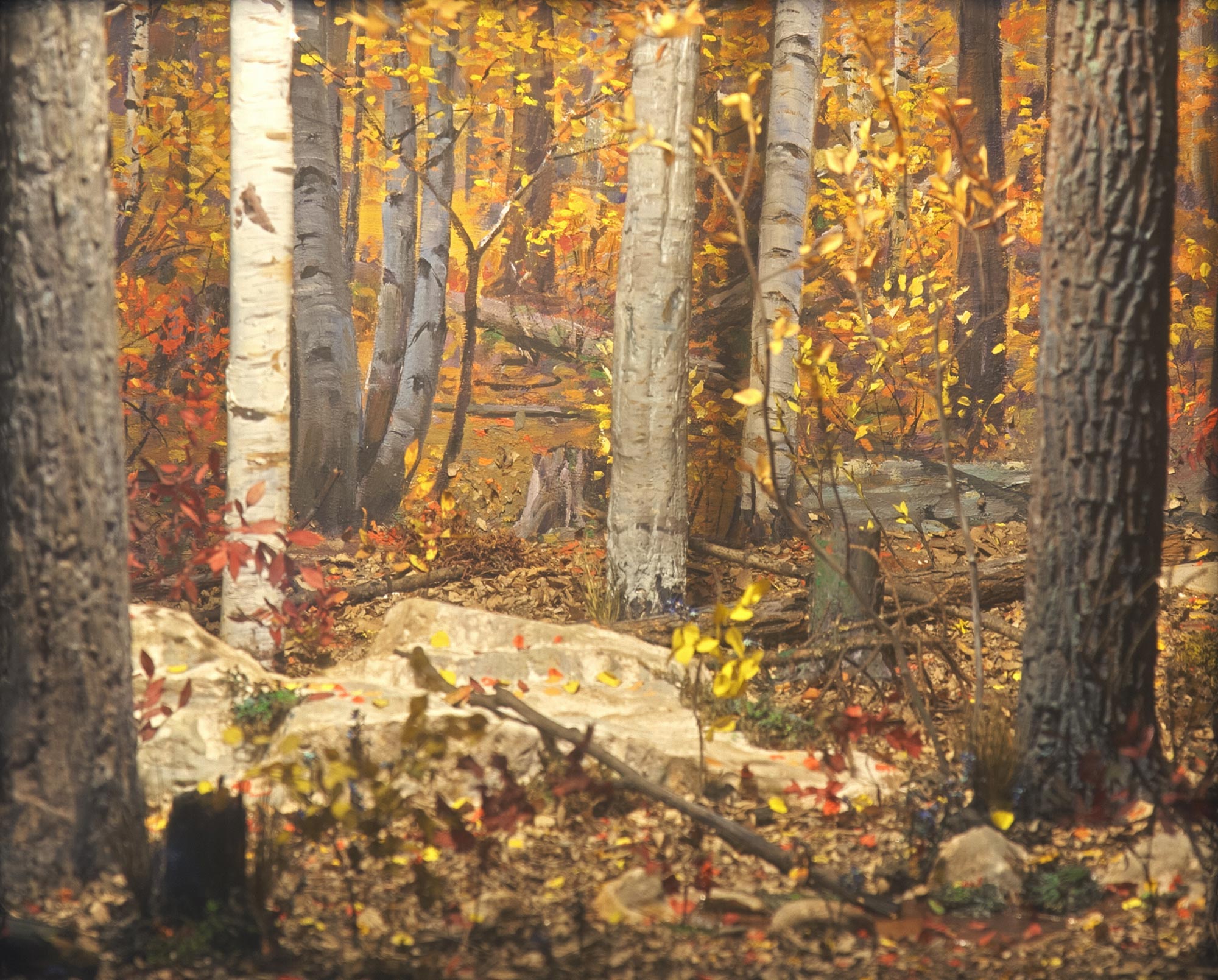 Diorama showing the woods in the fall.