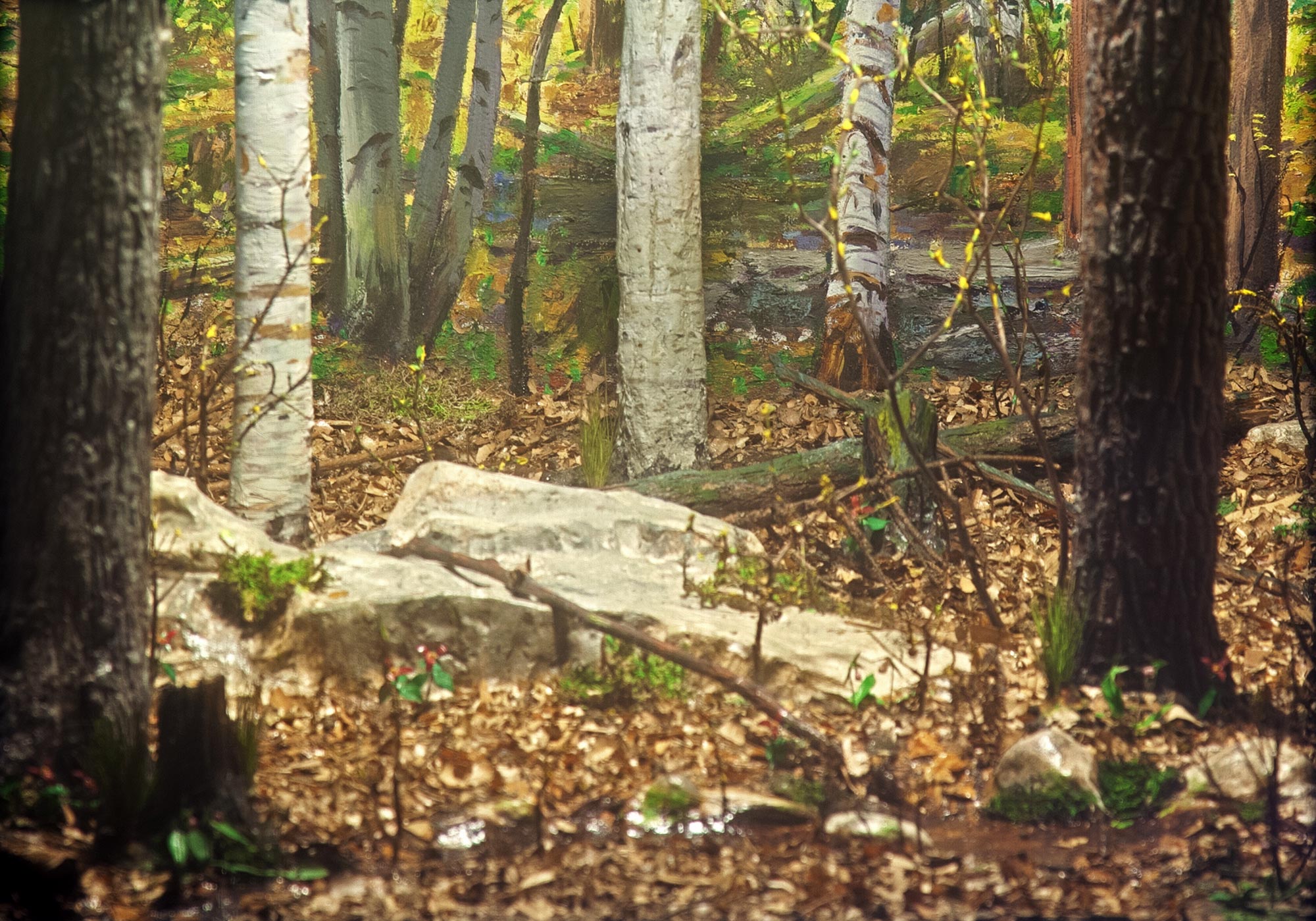 Diorama of the woods during the summer season.
