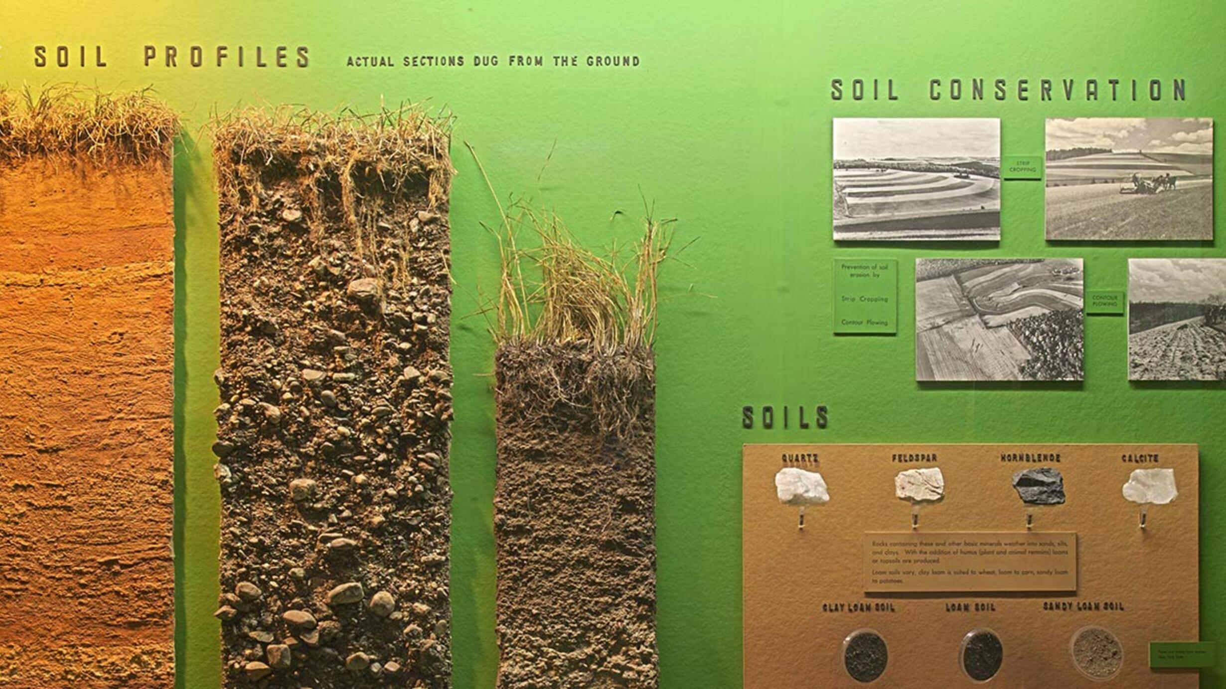 Exhibition case showing several soil profiles (actual sections dug from the soil), pictures about soil conservation and samples of soil.