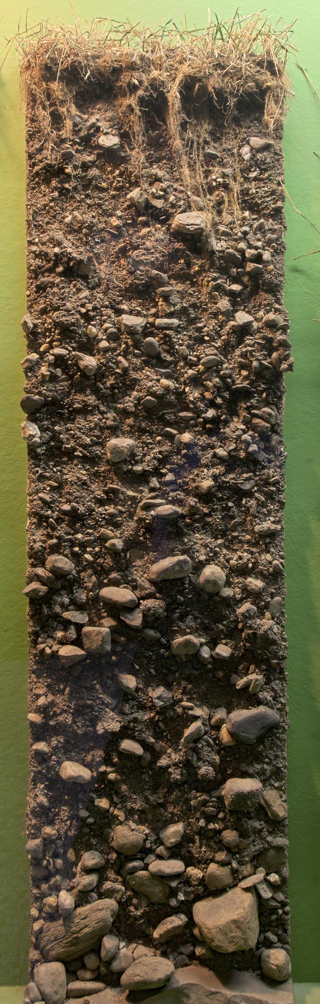 Soil profile of stratified glacial till