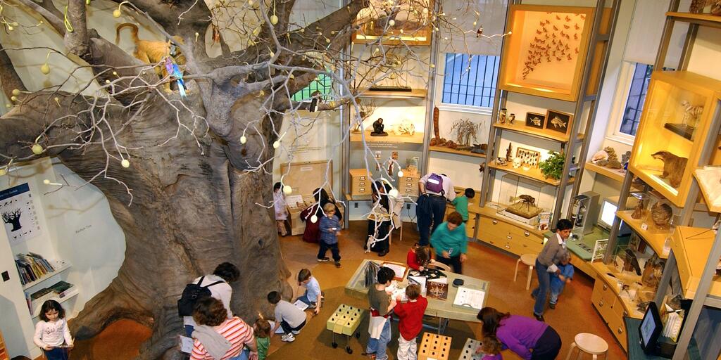 Hands On Science For Kids Learning In The Discovery Room Amnh