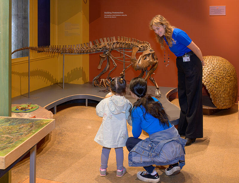 Discover Room educator explains a fossil skeleton mount to a visiting adult and child.