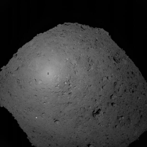 Black and white image of hayabusa. On the lightest part a tiny shadow with the shape of Hayabusa can be seen.