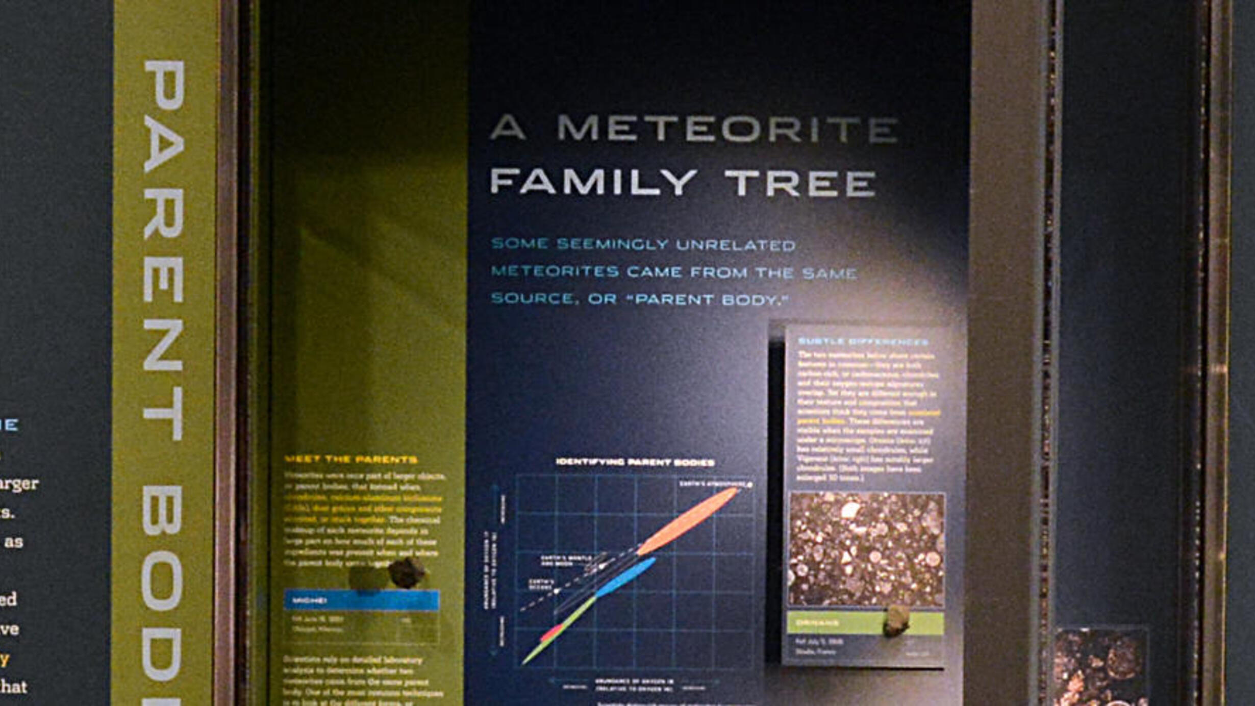 B.5.2. a meteorite family tree hero