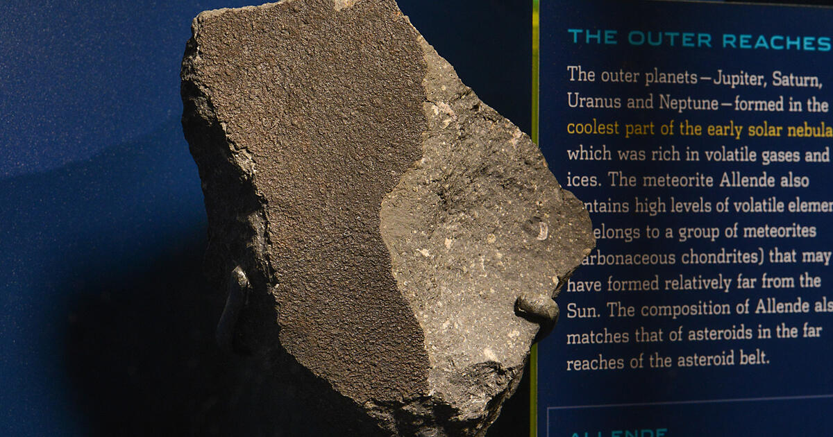 Allende (AMNH 4328) | AMNH