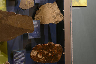 Meteorite specimens displayed in a case at the Museum.