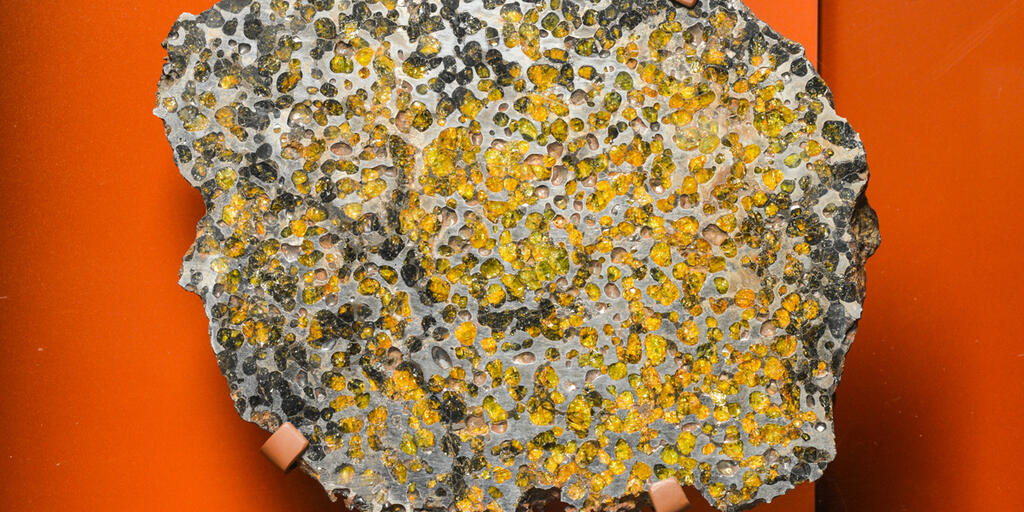 ブレナム隕石(Brenham Meteorite) ブレナム隕石(Brenham meteorite)