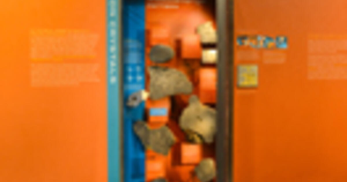 Iron Crystals In Meteorites Widmanstatten Structure Amnh