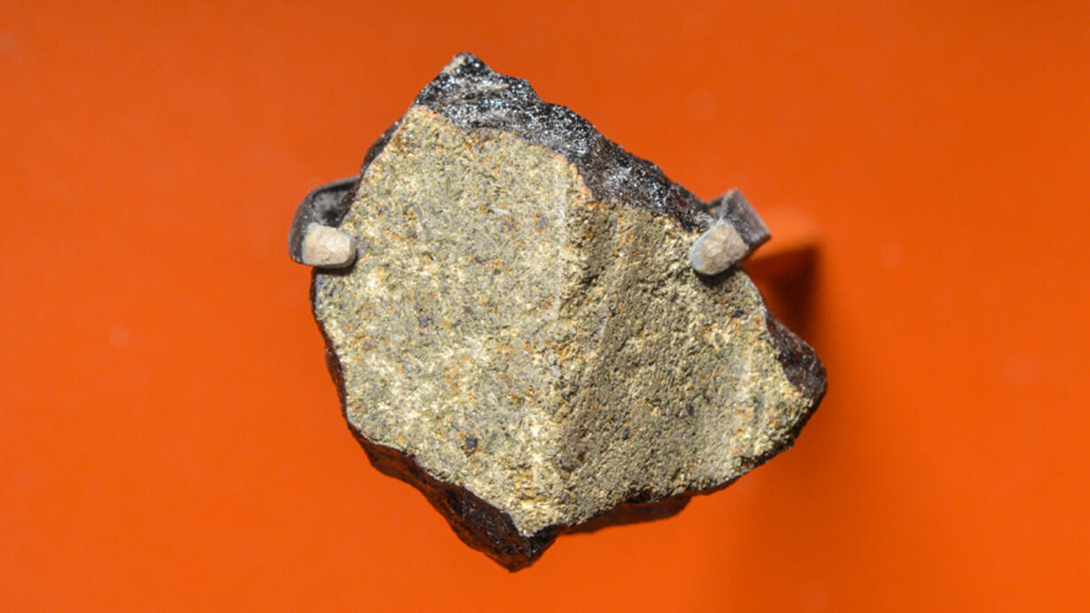 Pieces of Mars: Meteorites Gave Insight to Red Planet | AMNH
