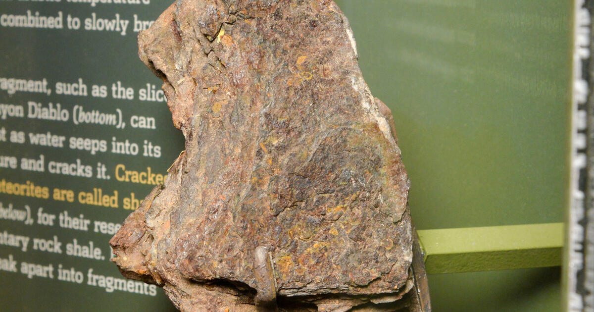 Canyon Diablo (Shale Ball) | AMNH