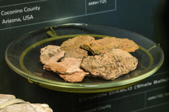 D.3.3.3.2. Canyon Diablo (Shale Fragments). AMNH T125.jpg