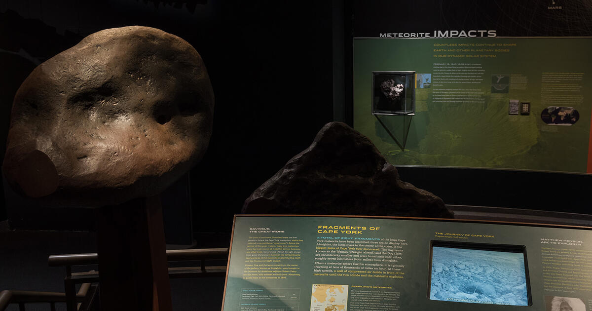 www.amnh.org