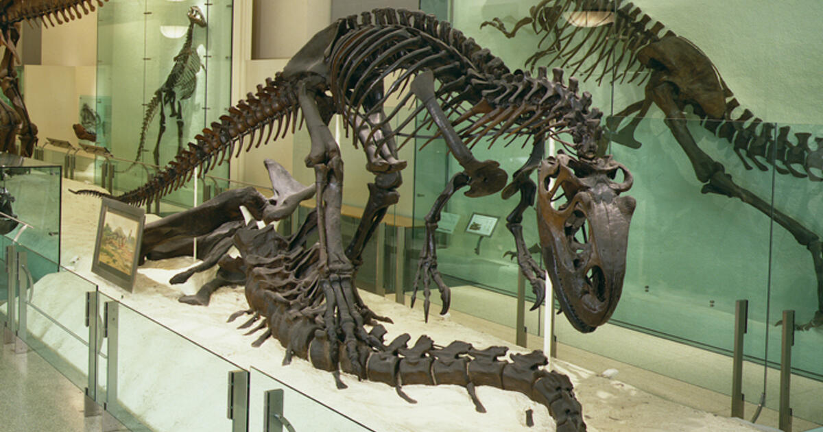 museums with dinosaur fossils near me