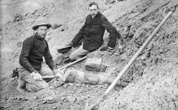 Barnum Brown wears a hat, holds a pick-axe, and kneels next to large fossilized bones; Henry Osborn, hat in hand, sits nearby.