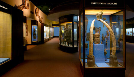 Natural History Museum Nyc Egyptian Exhibit Natural History Museum Nyc Egyptian Exhibit