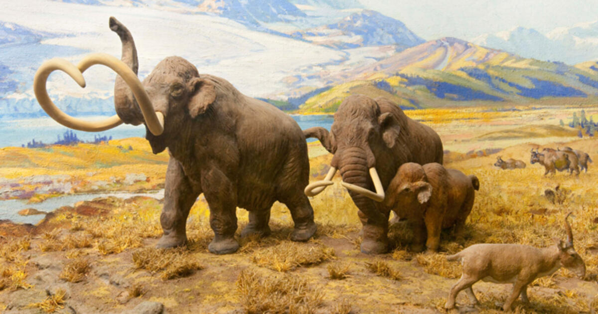 Extinct American Mammals of the Ice Age AMNH