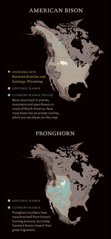 BisonPronghorn_rangemap