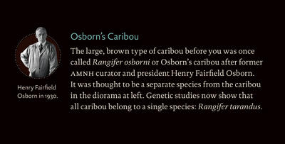CaribouOsborn_Osbornsidebar