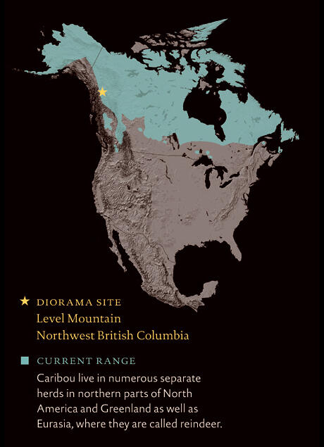 CaribouOsbourn_rangemap