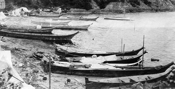 13 canoes occupy an inlet, with some pulled onto the sand, and others anchored in shallow water.
