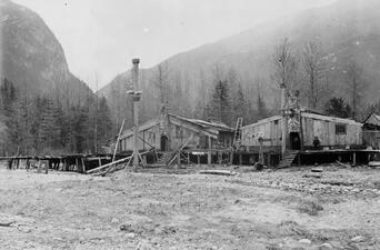 Two low, A-frame wooden buildings with carved entrances in a field with trees and mountains behind them.