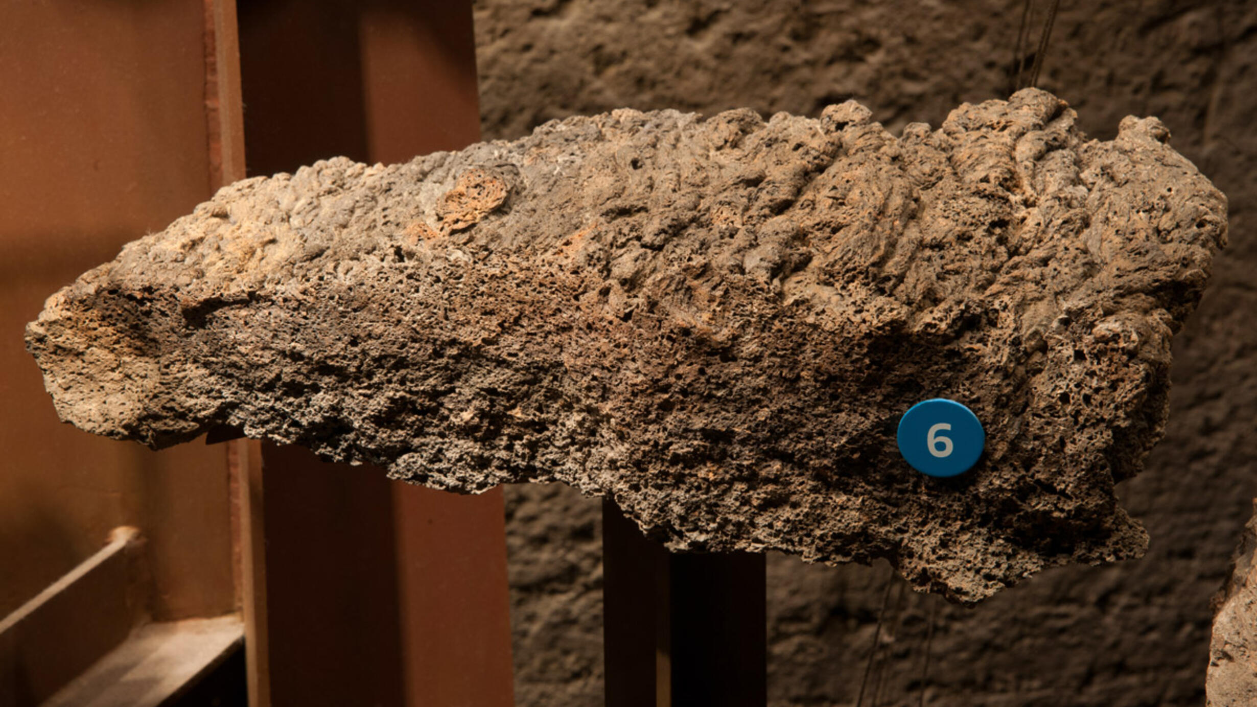 A basalt tablet, a specimen with a number six marker on it, in the Museum’s Hall of Planet Earth. Appears as long bumpy pitted section of rock.