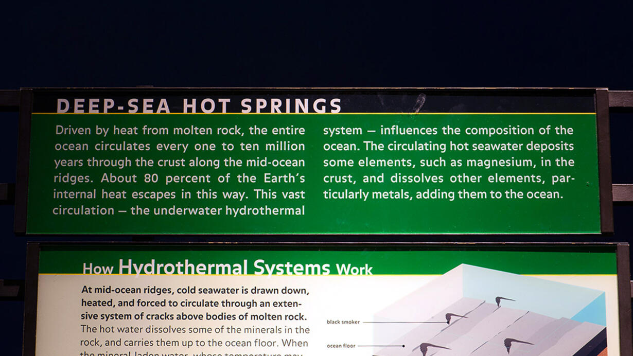 Deepsea hot springs AMNH