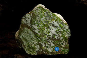 Eclogite