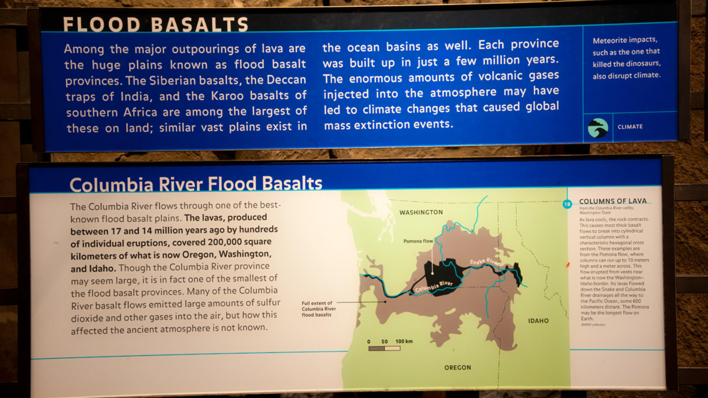Flood Basalts